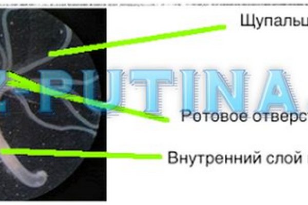 Ссылка кракен не работает