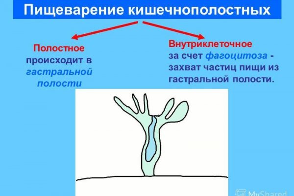 Kraken 2025 ссылка